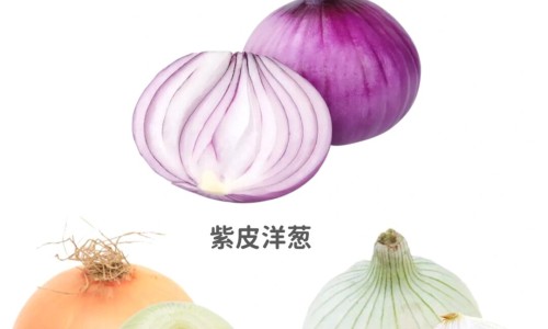 佳洁福生姜洗洁精功效网佳洁士草本含氟吗知识网站,分享佳洁士大全